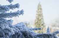 Самым дорогим празднование Нового года будет для жителей Бучи, самым дешевым - для львовян