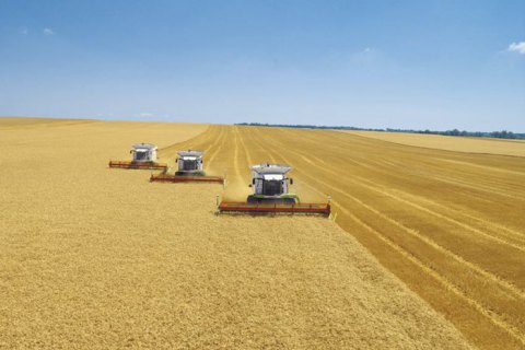 Світові ціни на цукор, пшеницю та олію знову зросли 