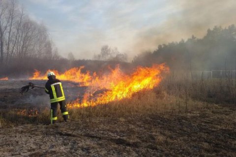 В Украине объявлен высший уровень пожарной опасности