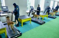 Норвегія збільшує підтримку розмінування України на $14,5 млн  