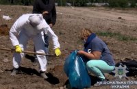 Владельца "Гавриловских курчат" задержали за организацию птичьего могильника (обновлено)