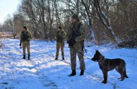 Ухилянт від мобілізації заблукав у горах Закарпаття і викликав поліцію