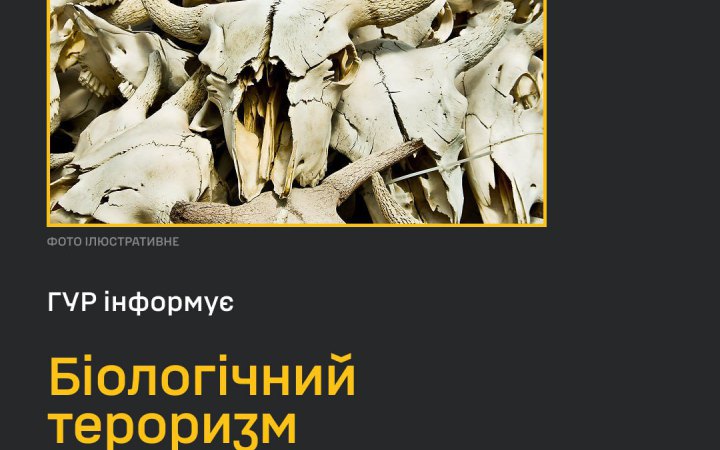 ГУР: росіяни створюють умови для поширення сибірської виразки на Херсонщині