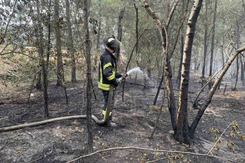 Рятувальники ліквідували лісові пожежі на Луганщині