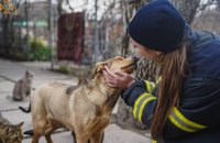 Як подбати про психічне здоров’я. Уроки Едіт Еґер, психологині та вцілілої в Аушвіці