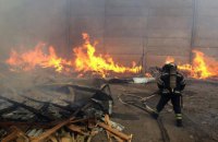 У Миколаєві рятувальники через штормовий вітер кілька годин не могли загасити пожежу