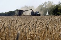 Bloomberg: Експорт зерна з України може впасти на 54% через російські атаки на порти