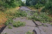 На Київщині негода пошкодила понад 60 будинків, автомобілі та електромережі