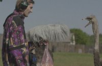 У Брюсселі пройде фестиваль "Українська весна"