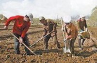 В Италии легализовались 37 тысяч украинцев