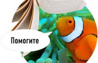 Мистецтво малого гранту
