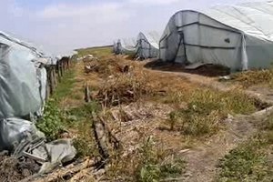 Жителей Западной Украины отправляли в рабство в Россию