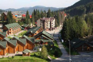 На Закарпатье неизвестные угрозами отбирают землю у местных жителей