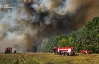 Пожежі, спричинені російськими обстрілами, завдали українським лісам шкоди на майже 8 млрд грн