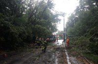 В Запорожской области из-за непогоды обесточен 51 населенный пункт