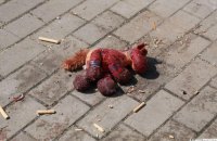 205 дітей загинули від початку війни в Україні, повністю зруйновано 95 закладів освіти
