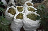 В Херсонской и Запорожской областях поймали наркоторговцев с марихуаной на 2 млн гривен