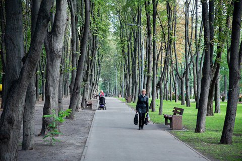 В понедельник в Киеве будет тепло и сухо