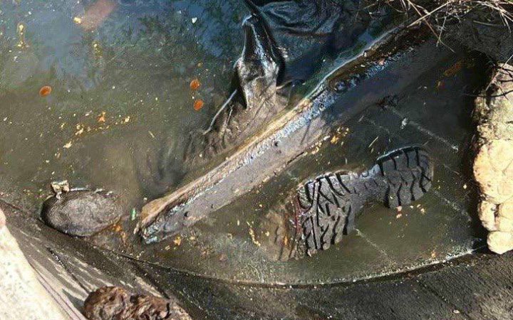 На Київщині в колодязі знайшли тіло вбитого під час окупації чоловіка