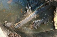 На Київщині в колодязі знайшли тіло вбитого під час окупації чоловіка