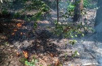 Унаслідок обстрілів росіянами загорівся ліс на Сумщині