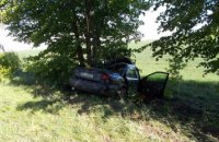 В ДТП в Черниговской области погибли супруги и их годовалый ребенок 