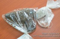 В Тернополе парень обстрелял окна жилого дома, маршрутку и 10 автомобилей