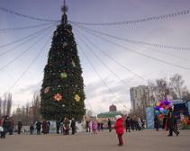Елка в парке Глобы обойдется городу в 30 тыс. грн