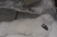 Росіяни вночі намагалися атакувати "шахідом" Житомирську область