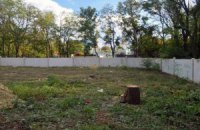 В Центральном парке Одессы вырубают деревья, чтобы построить трансформаторную подстанцию