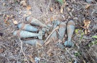 В Донецкой области у дороги нашли тайник с минометными минами