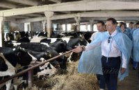 Холодильник з м'ясом та безкоштовний хліб: обіцянки кандидатів у президенти