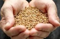 Днепропетровская область планирует закупить 100 т гречки у Харьковской