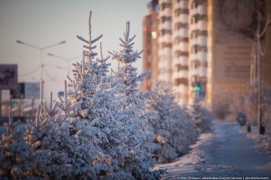 Первый день нового года будет без осадков