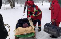 На Львовщине из-за снежных заносов женщину с инфарктом доставляли к скорой на санях
