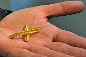 Художник получил компенсацию за потерянную картошку фри