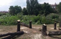 В Запорожье уничтожили сквер Яланского, спилив 500 деревьев
