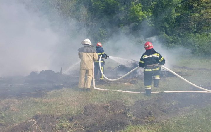 Загальна площа пожеж у лісах України зросла з початку року у сто разів