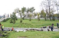 На Березняках в Киеве появится уникальный ивовый парк