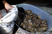 В Херсонской области задержали браконьеров с уловом краснокнижных крабов на 89 млн гривен