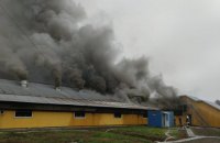 Біля Калуша горіла величезна ферма на 30 тисяч свиней (оновлено)