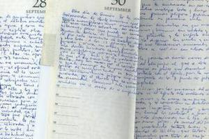 В интернет выложили дневник Че Гевары