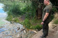 У Борщагівській громаді продовжують ліквідовувати забруднення водойм, де зафіксували масову загибель риби