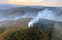 На Закарпатті третю добу поспіль горять ліси