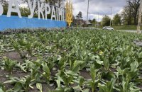 У Києві невідомі знищили тюльпани на клумбах у кількох районах