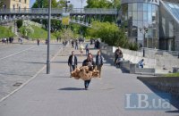 Поліція відкрила провадження за хуліганство на Алеї Героїв Небесної Сотні