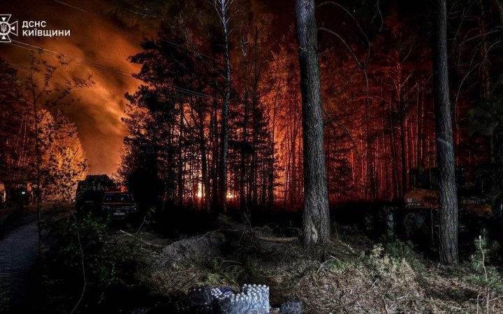 В Україні вигоріло майже 2250 гектарів землі внаслідок пожеж в екосистемах