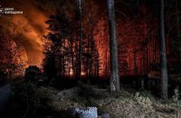 В Україні вигоріло майже 2250 гектарів землі внаслідок пожеж в екосистемах