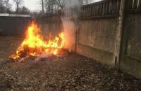 Поліцейські Ізмаїла знищили понад 50 кг наркотиків у дворі відділення