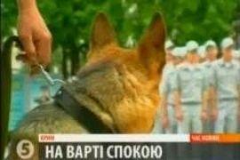 На страже правопорядка 